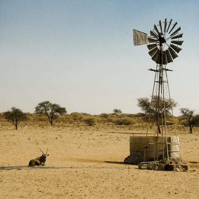 Oryx Gazella, Kalahari Oryx Gazella, Kalahari